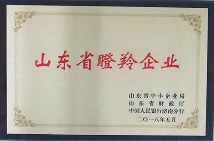 OG真人官方顺利获得2021年度“山东省瞪羚企业”复审